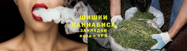 стаф Магадан