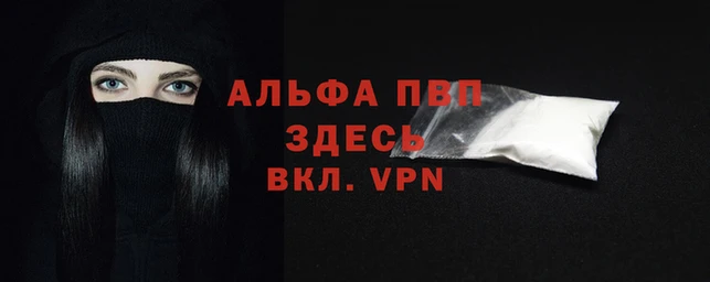 гашик Майский