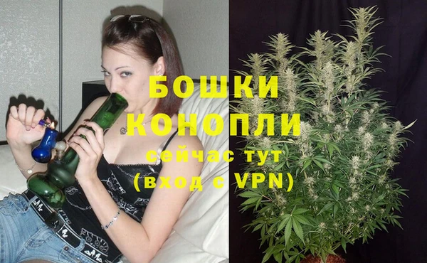 стаф Магадан