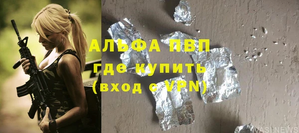 гашик Майский