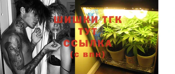 стаф Магадан