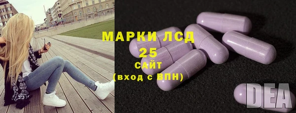стаф Магадан