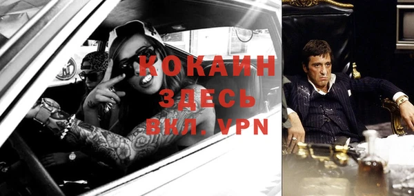 гашик Майский