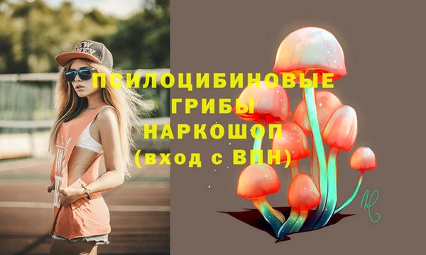спиды Медногорск