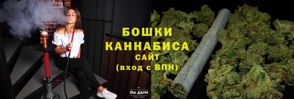 гашик Майский