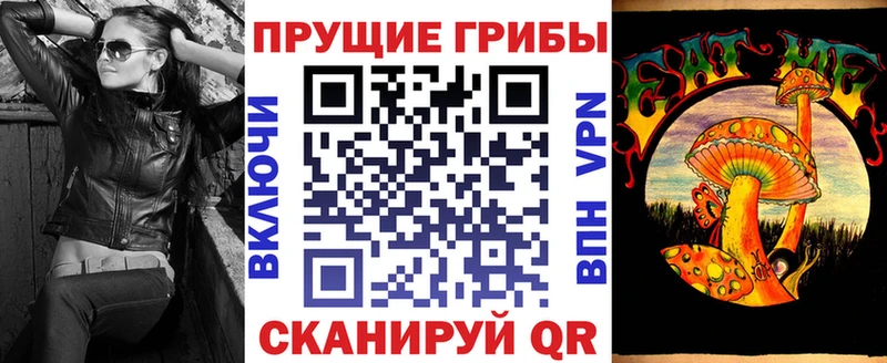 Псилоцибиновые грибы мицелий  купить  сайты  omg как зайти  Волгодонск 