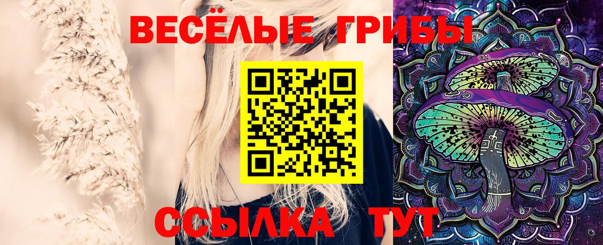 Псилоцибиновые грибы Psilocybine cubensis  Вход с VPN  Волгодонск 