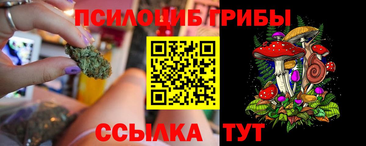 Галлюциногенные грибы GOLDEN TEACHER Волгодонск