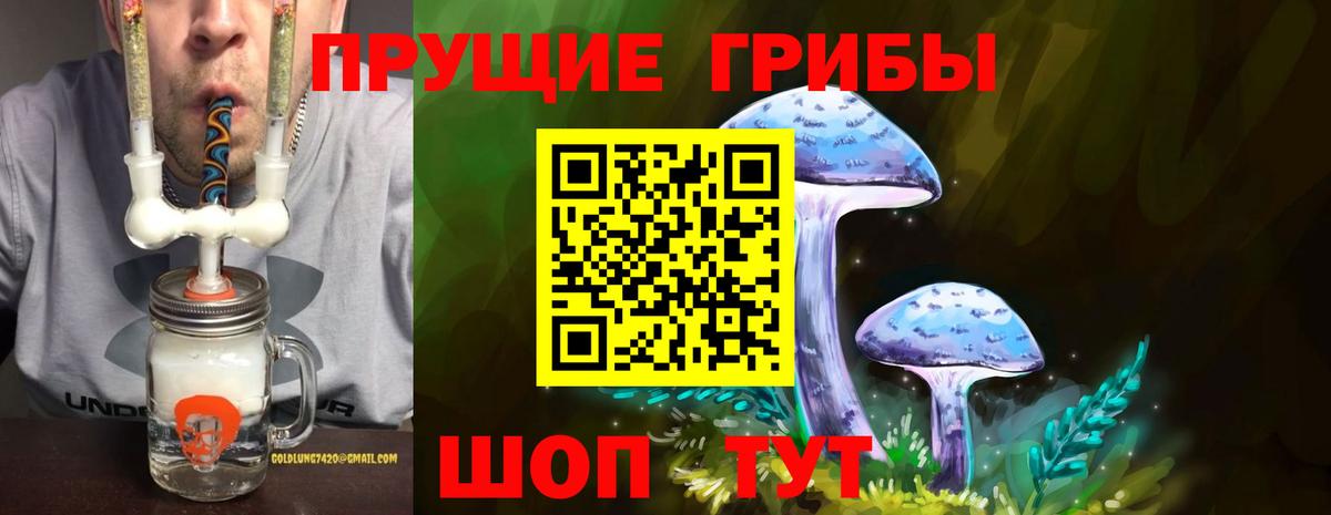 Псилоцибиновые грибы Psilocybine cubensis Волгодонск