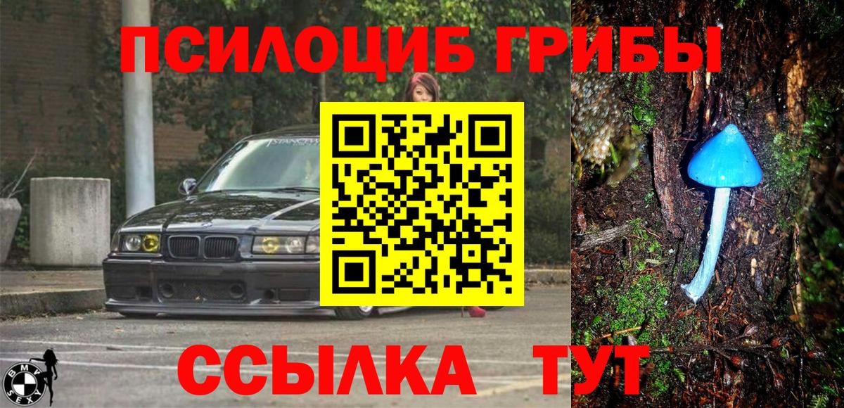 Псилоцибиновые грибы MAGIC MUSHROOMS  Волгодонск  Галлюциногенные грибы Magic Shrooms 